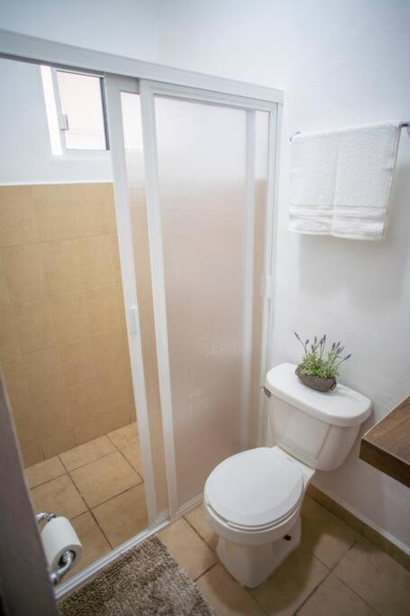 הוילה קוזומל Casa Itzamna מראה חיצוני תמונה